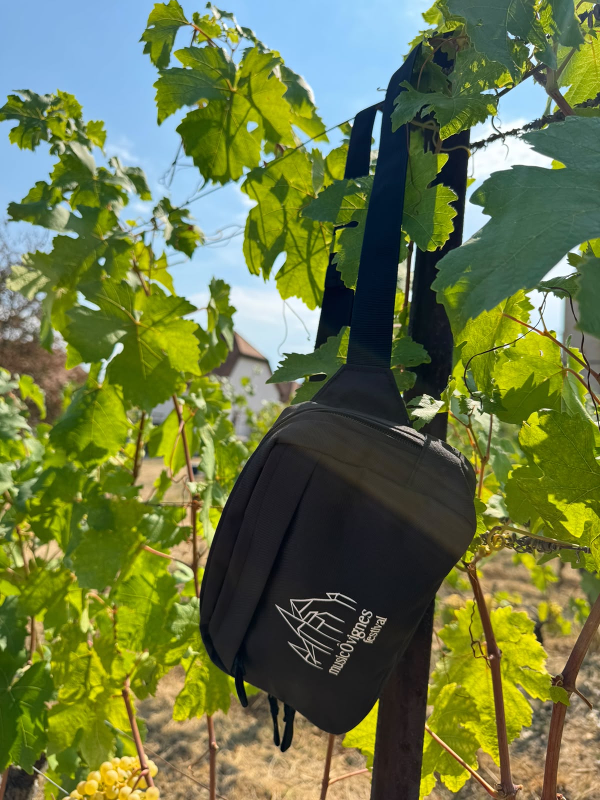 Sac banane musicÔvignes 2026